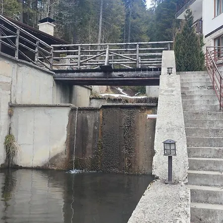Alpine Relax Free & Pool Pamporovo