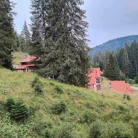 Apartament Alpine Relax Free & Pool *