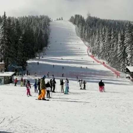 Alpine Relax Free & Pool Pamporowo