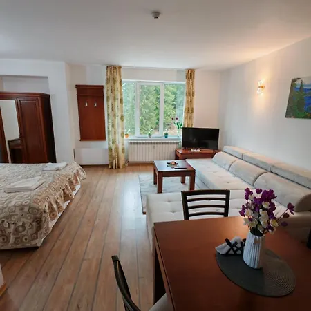 Alpine Relax Free & Pool Apartament Pamporowo