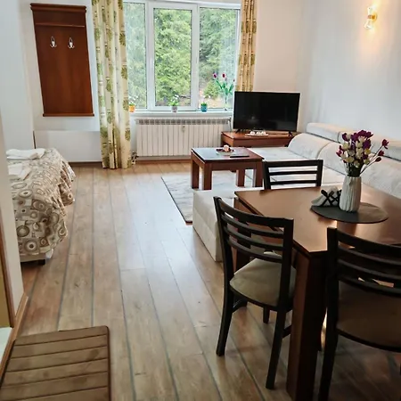 Alpine Relax Free & Pool Apartament Pamporowo