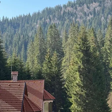 Alpine Relax Free & Pool Apartman