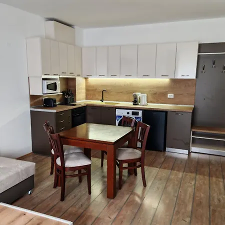 公寓 Alpine Relax Free & Pool 潘波洛沃