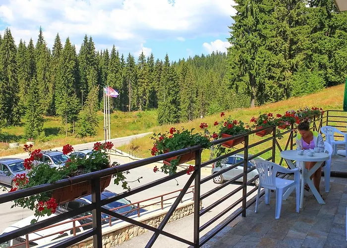 Alpine Relax Free & Pool Daire Pamporovo