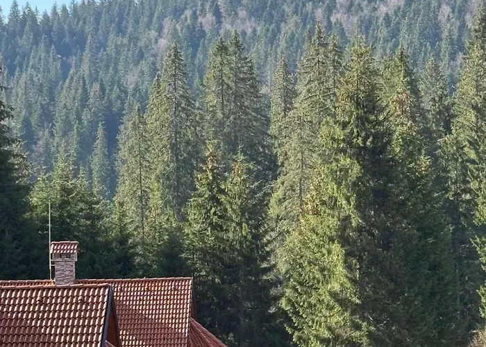 Alpine Relax Free & Pool Lejlighed