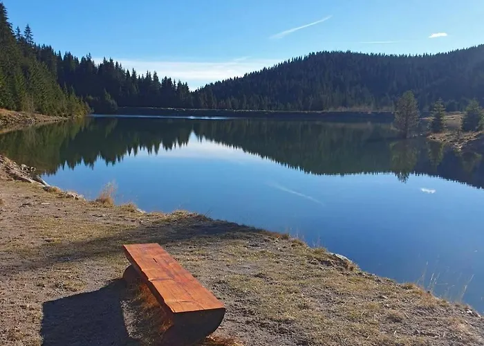 Alpine Relax Free & Pool Pamporovo